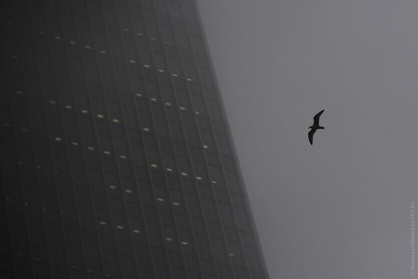 A seagull glides as fog engulfs the financial district of Canary Wharf in London