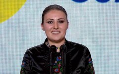федина