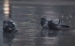 Прогноз погоды на 23 апреля