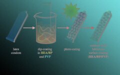 Royal Society Open Science 2018