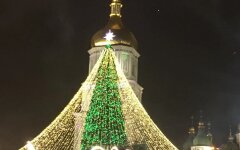 Главаня елка страны