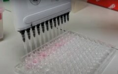 Марк Медоуз,Разработка вакцины против коронавируса,российская вакцина против COVID-19