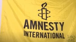 Amnesty International, Романенко