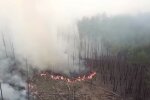 Лесные пожары в Украине