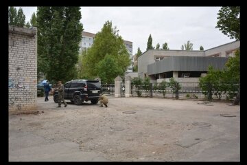 vzryivchatka-zhvavyiy