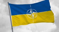 Вступление Украины в НАТО