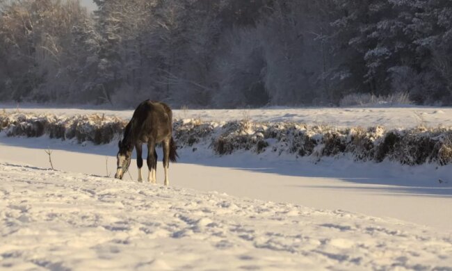 Прогноз погоды в Украине  / Фото из Facebook Людмила Тонконог