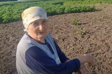Украинцам показали новые требования к пенсионному стажу