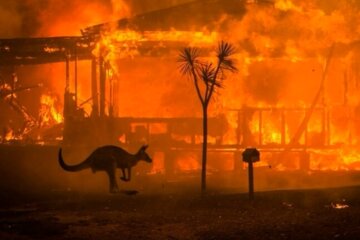 пожары в Австралии