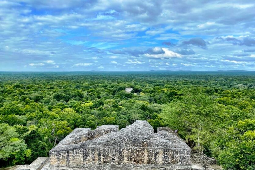 Вид на джунгли с пирамиды майя недалеко от границы с Гватемалой