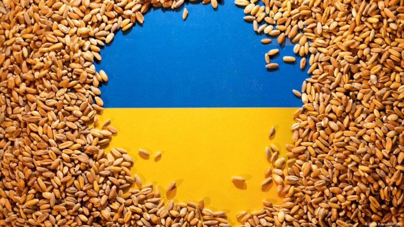 Євросоюз готує екстрені обмеження на імпорт зерна з України, - FT