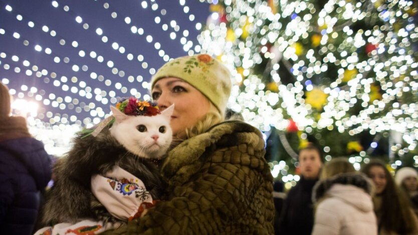 Прогноз погоды в Украине / Фото: Виталий Носач, РБК-Украина
