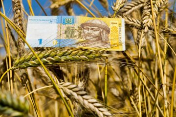 Экспорт зерна, посевная в украине, аграрный сектор