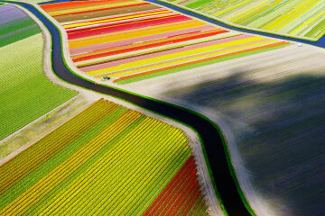 Разноцветные поля National Geographic