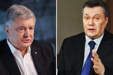 Петр Порошенко, Виктор Янукович
