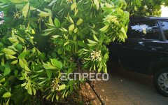 плохо авто киев