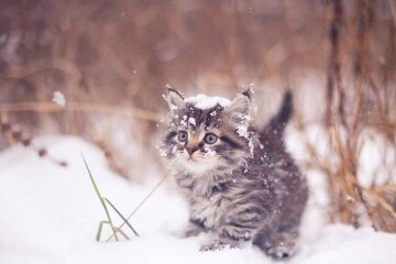 Прогноз погоди в Україні