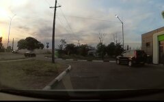 ДТП в Бердянске, пьяный депутат, сбил пешехода