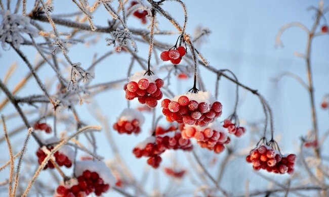 Прогноз погоди в Україні / Фото: pixabay