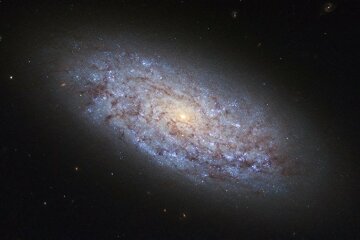 galaktika-ngc-5949