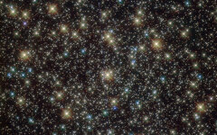 Standout stars