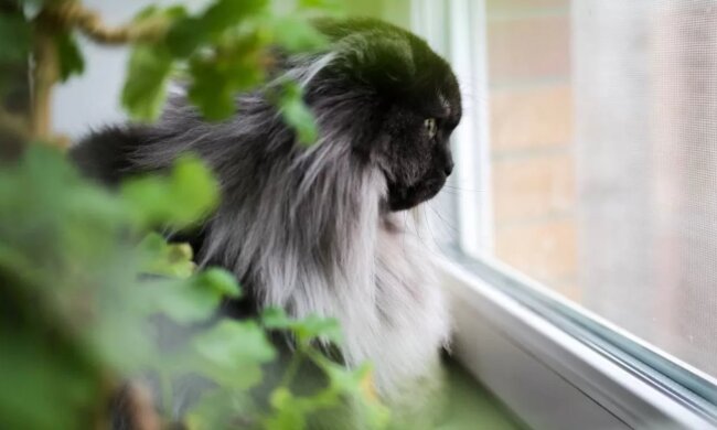 Прогноз погоди в Україні / Фото: Наталка Діденко