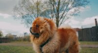 Прогноз погоди в Україні / Фото: Unsplash