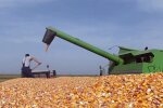 Мировые цены на зерновые, кубраков, зерновое соглашение