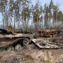 Ущерб, нанесенный РФ украинской экологии / Фото: bbc.com