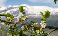 Прогноз погоди в Україні / Фото: Freepik