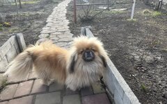 Прогноз погоды в Украине