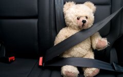 Ремінь безпеки