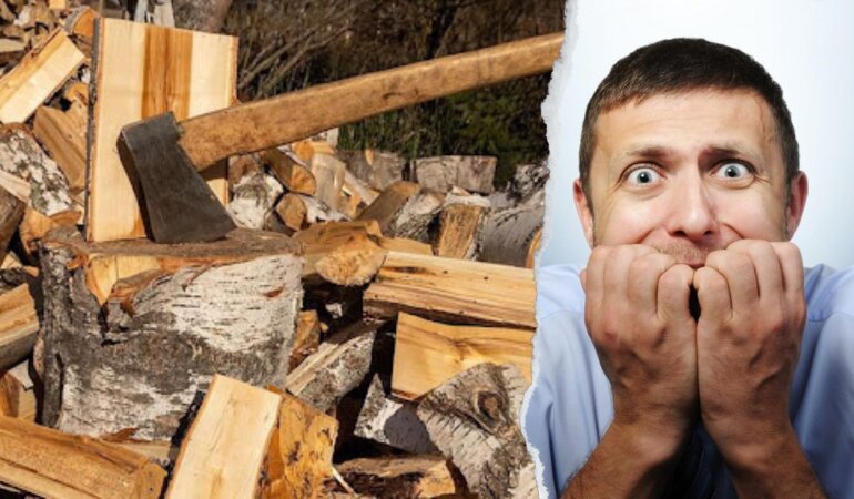 Закон про дрова