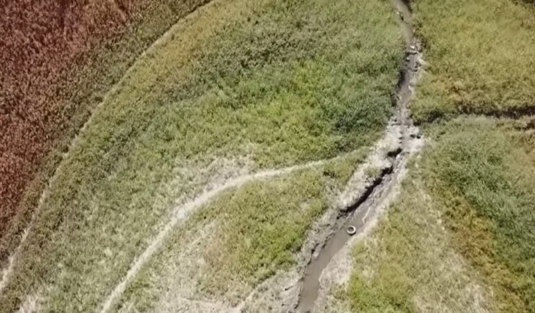 Эмине Джапарова,Засуха в Крыму,Оккупация Крыма,МИД Украины