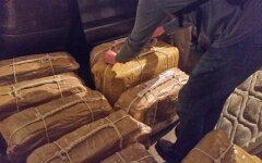 Кокаин из Аргентины доставляли для депутатов Госдумы РФ и сенаторов, - СМИ