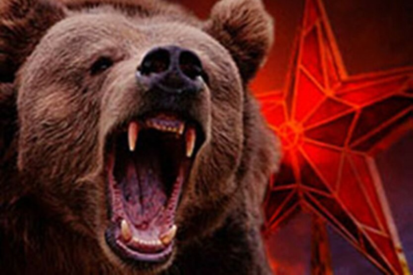 Россия Медведь
