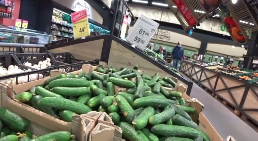 Огурцы в Украине, овощи, обвалились цены
