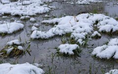 Прогноз погоды в Украине