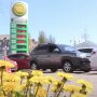 Цены на топливо в Украине, цены на автогаз, цены на дизтопливо, цены на бензин