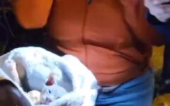 Подрыв Котобазы в Киеве