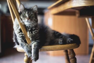 Прогноз погоди в Україні / Фото: Freepik