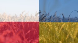 Україна та Польща, сільське господарство