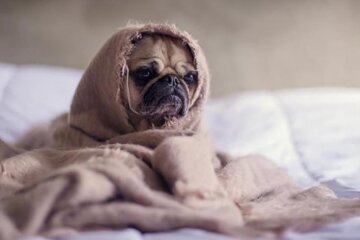 Прогноз погоды зимой / pinterest