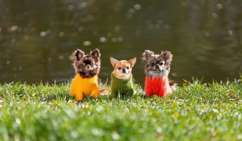 Прогноз погоди в Україні / Фото: Credits