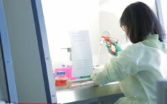 Коронавирус в Украине, карантин, число заболевших