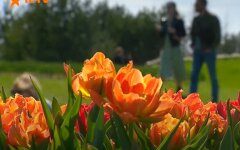Погода в Украине, погода в Киеве, прогноз погоды