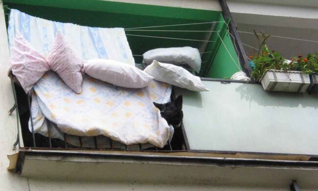 Людей призвали выносить подушки и одеяла на улицу: почему это важно