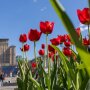 Прогноз погоды в Украине