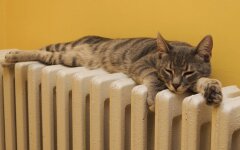 Прогноз погоды в Украине