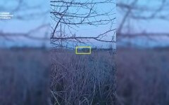 Спецоперация ГУР